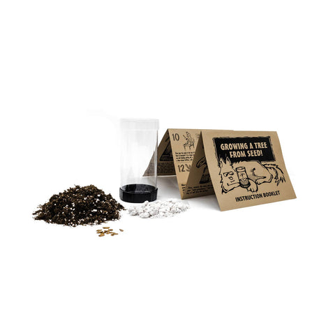 Packaged Live Trees