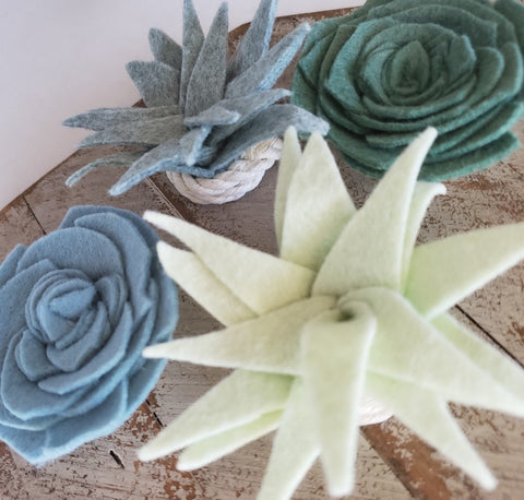 Felt Succulent Magnet Set