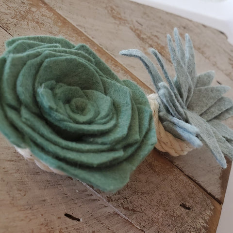 Felt Succulent Magnet Set