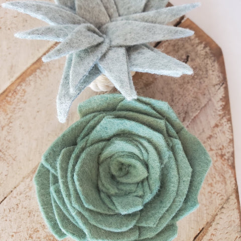 Felt Succulent Magnet Set