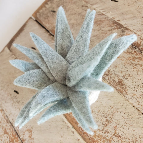 Felt Succulent Magnet Set
