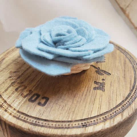 Felt Succulent Magnet Set