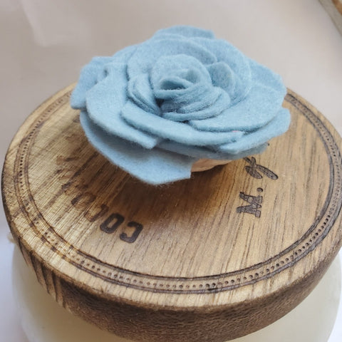 Felt Succulent Magnet Set