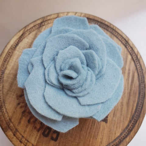 Felt Succulent Magnet Set