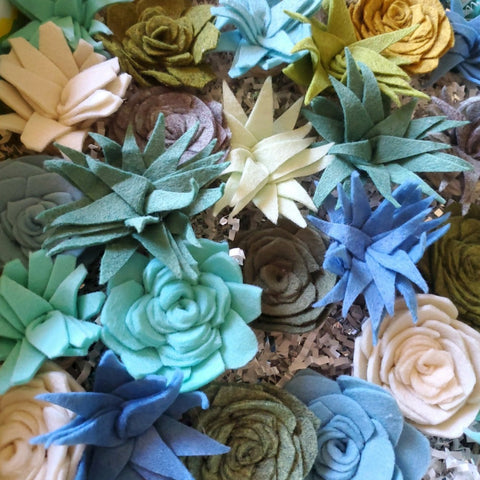 Felt Succulent Magnet Set