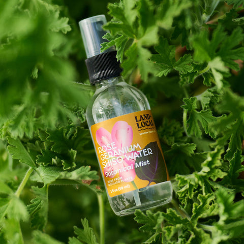 Bottle of rose geranium water spray on green leaves