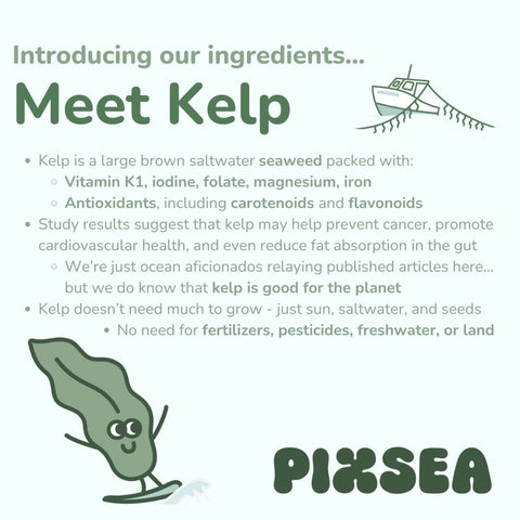 Pixsea Sea Salt Puffs