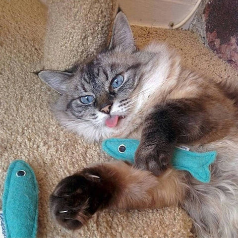 Handmade Catnip Toys