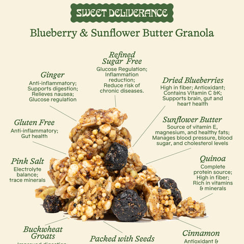 Blueberry & Sunflower Butter Granola with health benefits labeled