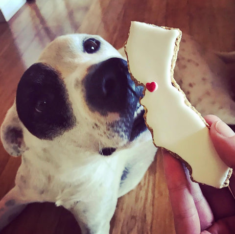 Delectable Dog Cookies