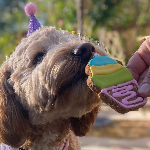Delectable Dog Cookies