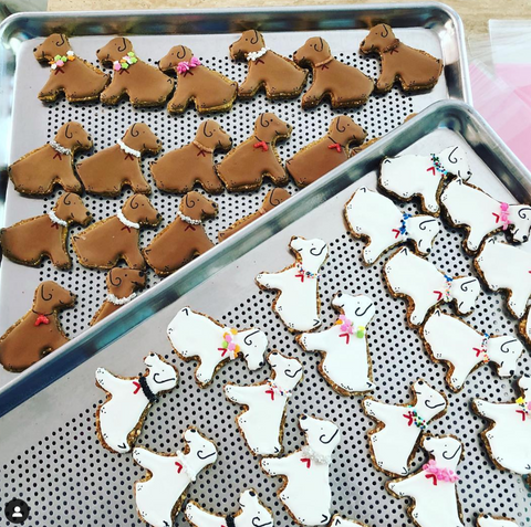 Delectable Dog Cookies