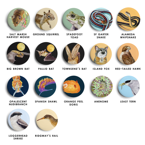 California Flora & Fauna Pinback Buttons