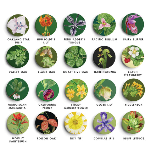 California Flora & Fauna Pinback Buttons