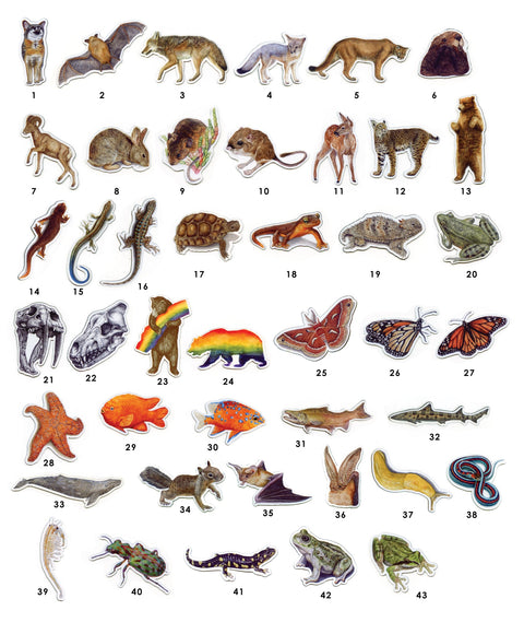 Waterproof Native California Flora & Fauna Magnets