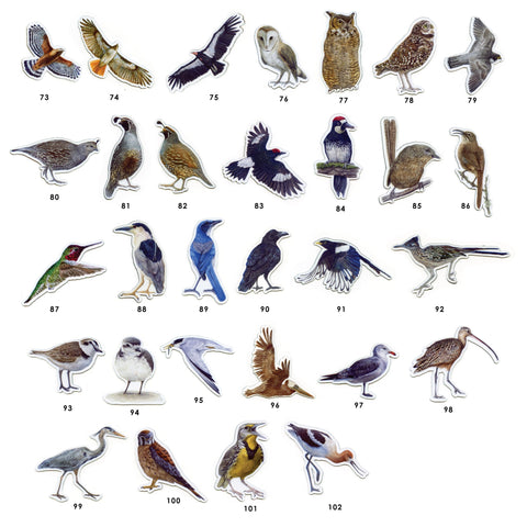 Waterproof Native California Flora & Fauna Magnets