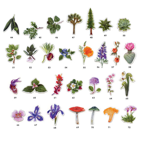 Waterproof Native California Flora & Fauna Magnets