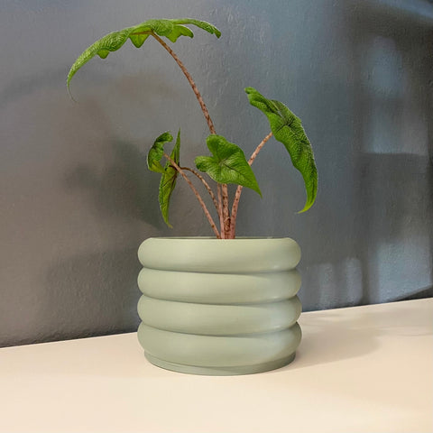 3D Printed 3" Bubble Pot Indoor Planter