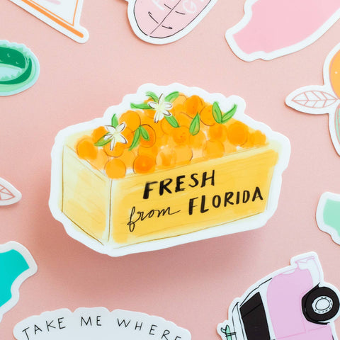Fun Florida Stickers