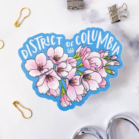 Fun D.C. Stickers