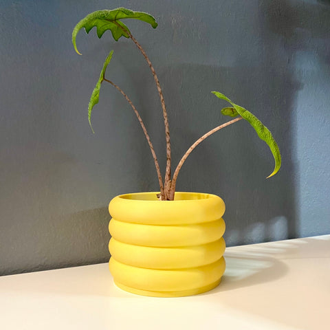 3D Printed 3" Bubble Pot Indoor Planter