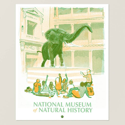 Illustration of an elephant in a museum with people around, featuring the National Museum of Natural History.
