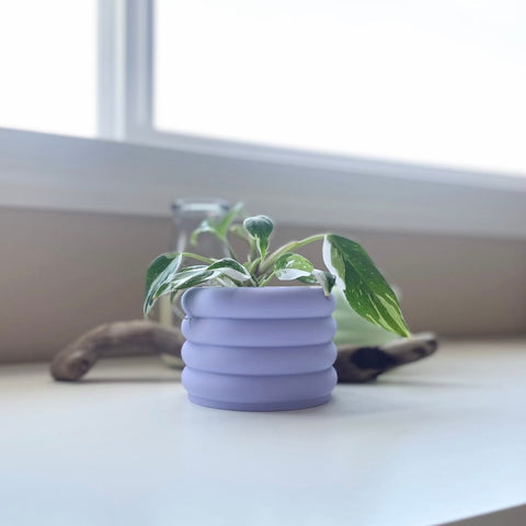 3D Printed 3" Bubble Pot Indoor Planter