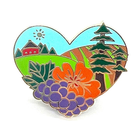 California and San Francisco Inspired Pins