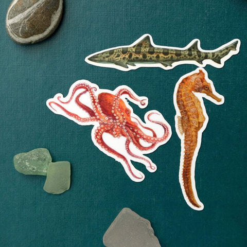 California Flora & Fauna Sticker Sets