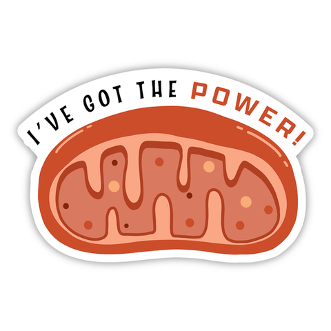 Science & Engineering Stickers