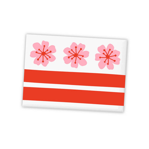 D.C. Landmarks and D.C. Flag Magnets