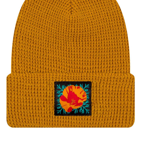 Golden Gate Beanies