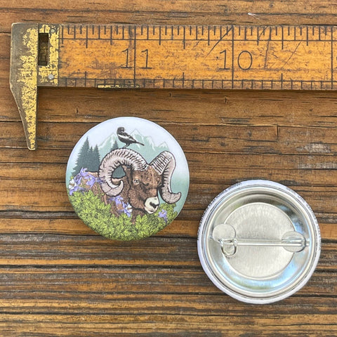 Colorado Nature Button Pins