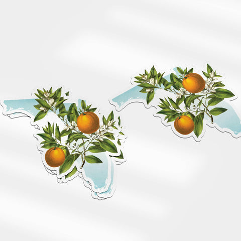 Florida State and Symbol Stickers