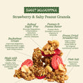 Granola bar with strawberry and peanut butter flavor, featuring health benefits on a white background.
