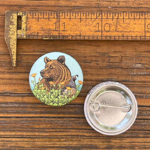 Colorado Nature Button Pins