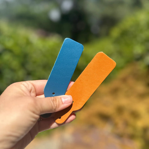 Hand holding two colored cards, blue and orange, against a blurred natural background.