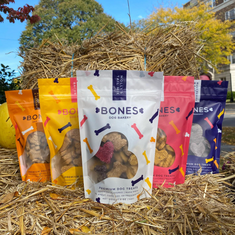 Healthy Dog Treats