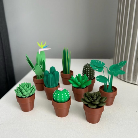 Custom 3D Printed Biodegradable Plant Fidgets