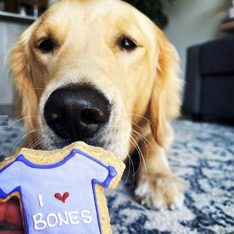 Adorable, Customizable Dog Cookies