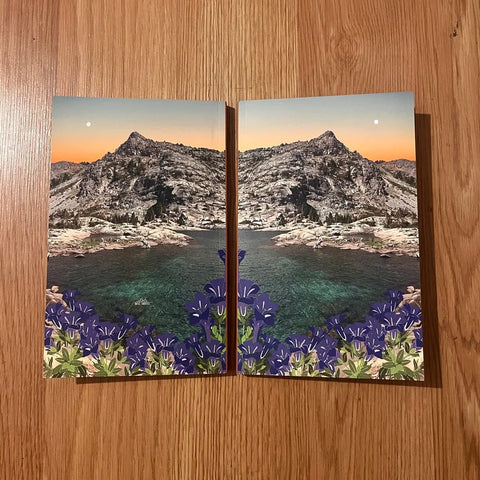 Two mountain landscape posters with blue flowers on a wooden surface