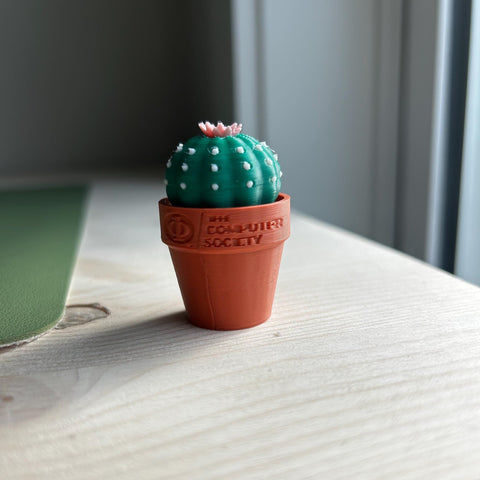 Custom 3D Printed Biodegradable Plant Fidgets
