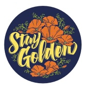 Workday Custom Designed Buttons