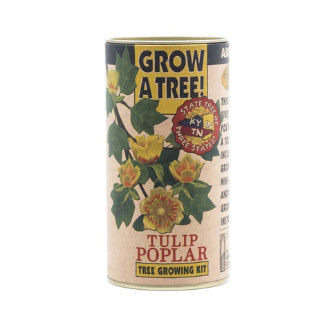 Packaged Live Trees