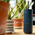 A dark teal insulated tumbler with a matching lid and straw sits on a wooden table, decorated with a white cartoon character and the text 'ReAnimator'. The background features blurred potted green plants.