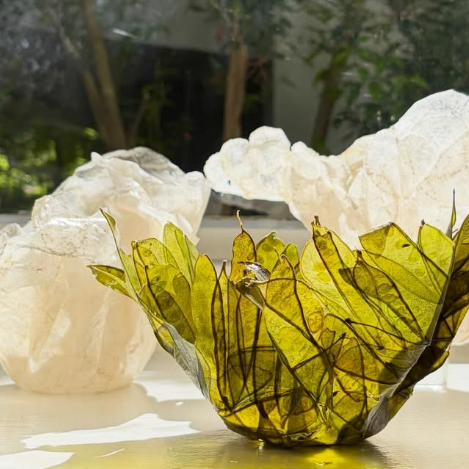 Handmade Vegetable Parchment Bowls