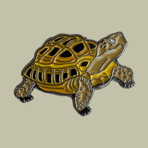 Vintage Nevada Enamel Pins