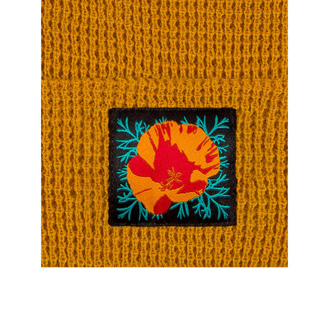Golden Gate Beanies