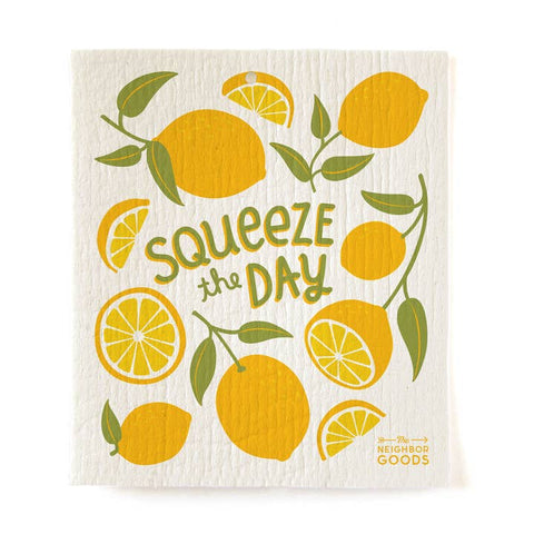 Washington D.C. & Garden Themed Sponge Cloths