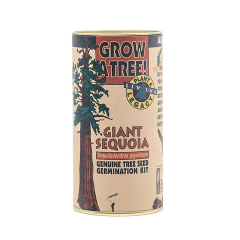 Packaged Live Trees